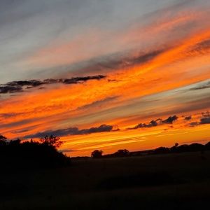 Meet your Posher, Maha